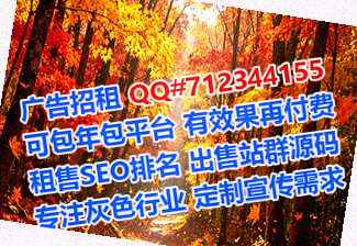 小红书代怀储能公司